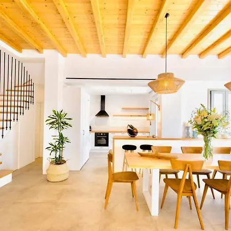 Vila Blue Orchid Mykonos *